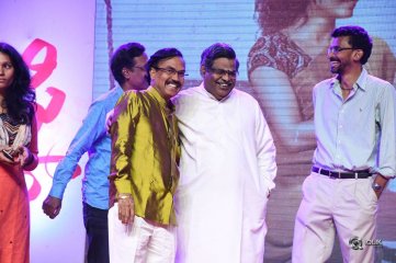 Fidaa Movie Audio Launch